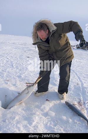 Tim Cook Alaskan guide ice fishing for sheefish on Kotzebue sound outside the village town of Kotzebue Sound Northwestern arctic Alaska Stock Photo