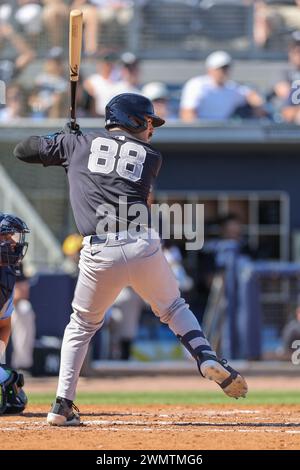 New York Yankees Austin Wells hits a solo home run in the first inning against the Milwaukee