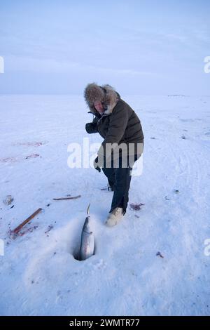 Tim Cook Alaskan guide ice fishing for sheefish on Kotzebue sound outside the village town of Kotzebue Sound Northwestern arctic Alaska Stock Photo