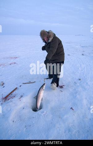 Tim Cook Alaskan guide ice fishing for sheefish on Kotzebue sound outside the village town of Kotzebue Sound Northwestern arctic Alaska Stock Photo