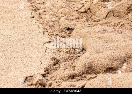 Brown sand in relief created by the wind Stock Photo