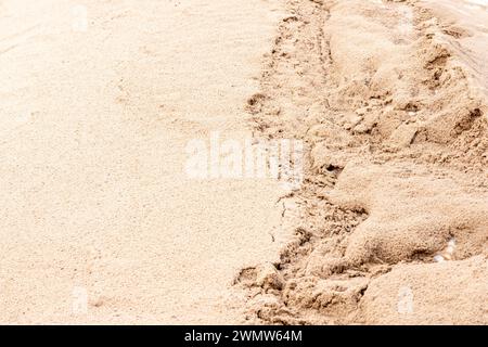 Brown sand in relief created by the wind Stock Photo