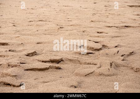 Brown sand in relief created by the wind Stock Photo