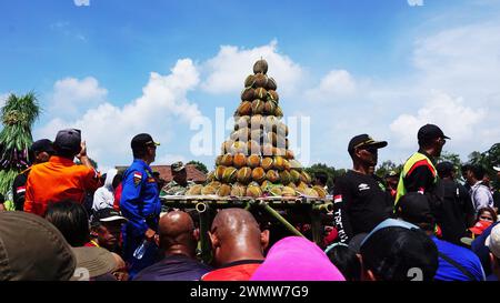 Jamboren (durian festival) in Kediri. Duren is called as king of fruit Stock Photo