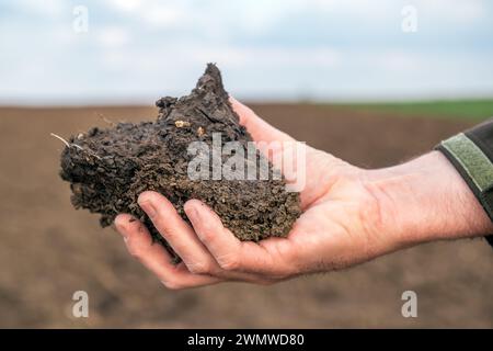 Agronomist holding a clod of earth, closeup of male hand with soil sample from agricultural field, selective focus Stock Photo