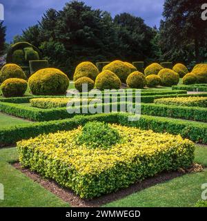 Taxus baccata Yew topiary in Elvaston Castle Gardens in June in the 1990s, Derbyshire, England, UK Stock Photo