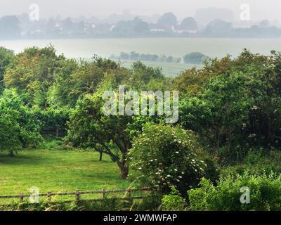 Landscape of farmland, Ford, Nr Salisbury, Wiltshire Stock Photo