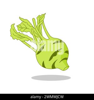 Art illustration Symbol logo botany design concept icon vegetables of kohlarbi Stock Vector