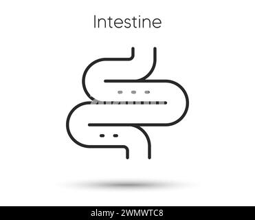 Intestine line icon. Digestion sign. Health bowel symbol. Colonoscopy gut procedure. Vector Stock Vector