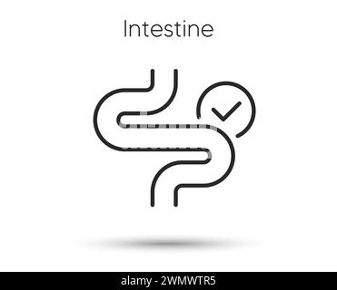 Intestine line icon. Digestion sign. Health bowel symbol. Colonoscopy gut procedure. Vector Stock Vector
