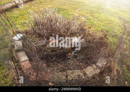 Spiral herb garden in early spring. Stock Photo