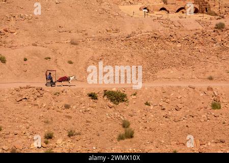 Petra, Jordan - November 3, 2022: Cart with the horse, high angle desert landscape view at Petra ancient city Stock Photo