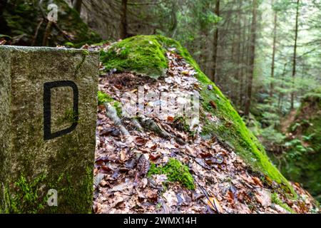 Nationalpark sächsische Schweiz Bilder aus dem Elbsandsteingebirge Stock Photo
