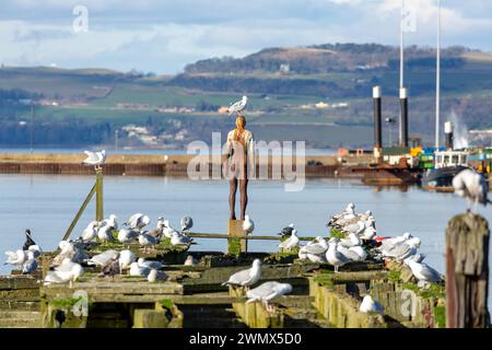 Antony Gormley’s 6 TIMES final figure at Leith Docks, Edinburgh Stock Photo