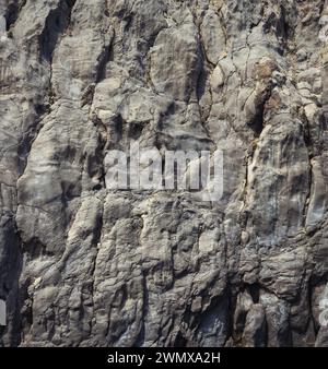 Weathered seaside rock face texture. Aged volcanic stone wall surface background pattern with cracks and scratches. Ischia Island, Italy. Stock Photo