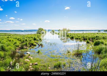 View at a water canal in a flooded wetland landscape a sunny summer day Stock Photo