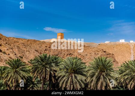 A fort above an oasis with palm trees in the desert under a clear blue sky, Oman Stock Photo