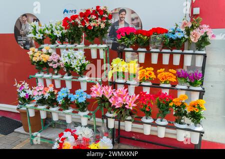 A colourful flower stall with various artificial flowers in front of a shop, Gastouni, Elis, Peloponnese, Greece Stock Photo