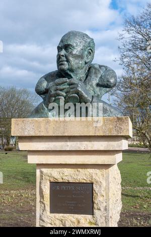 Bronze statue or bust of conservationist Sir Peter Scott holding binoculars at WWT Slimbridge Wetland Centre, Gloucestershire, England, UK Stock Photo