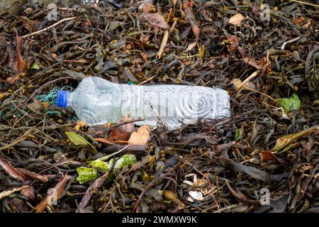 Plastic bottles polluting the sea washed in with the tide. Stock Photo