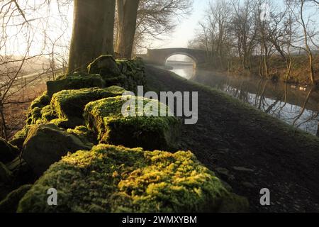 Newton Bridge (no. 164) over the Leeds-Liverpool canal near Bank Newton, Gargrave, North Yorkshire. Stock Photo