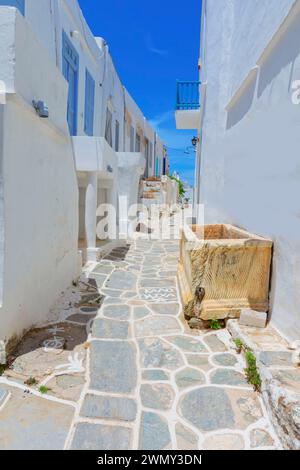 Greece, Dodecanese islands, Sifnos island, Kastro open-air bar and ...