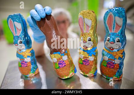 PRODUCTION - 28 February 2024, Saxony-Anhalt, Wernigerode: An unpacked chocolate bunny stands on a table with other chocolate bunnies at Wergona Schokoladenfabrik GmbH. Millions of chocolate products, such as these chocolate Easter bunnies, roll off the production line at Wergona. The last orders for the upcoming Easter are currently coming off the production line. During the Easter season, 1500 trucks deliver 25,000 pallets to retailers. This equates to almost 300 million chocolate pieces such as chocolate figures, filled and decanted eggs and other chocolate products. The confectionery compa Stock Photo
