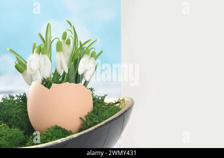 Blank page to fill in with content with easter, handmade decoration: eggshell, snowdrops and moss. Stock Photo
