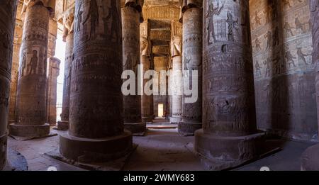 Egypt, Qena, Dendera, Pharaonic temples in Upper Egypt from the Ptolemaic and Roman periods listed as World Heritage by UNESCO, Hathor Temple, hypostyle room Stock Photo
