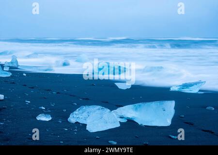 Iceland, South Coast, Austurland region, Jökulsárlón glacial lagoon, Diamond beach or diamond beach, icebergs of Breiðamerkurjökull on the volcanic black sand beach Stock Photo