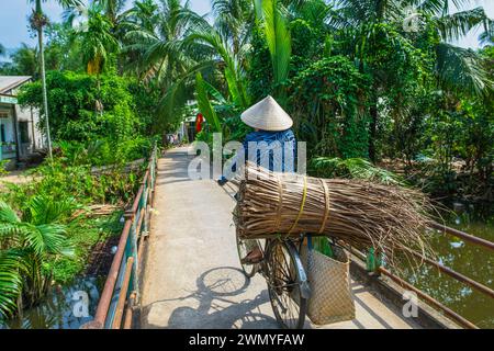 Vietnam, Mekong Delta, surroundings of Tra Vinh, woman traveling by bike in the countryside Stock Photo