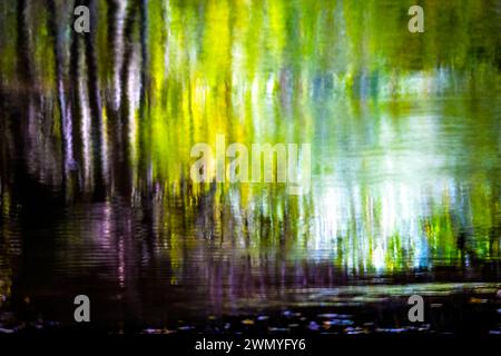 Artistic interpretation of a riverside scene with a blurred reflection of trees in water, rendered in vivid greens and yellows Stock Photo