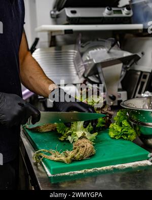 A chef is meticulously preparing fresh lettuce on a green cutting board in a professional kitchen setting, demonstrating hygiene with black gloves Stock Photo