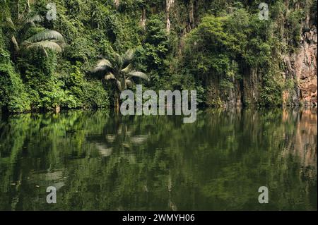 Tranquil lake surrounded by dense foliage and towering cliffs in a Malaysian tropical rainforest, reflecting nature's untouched beauty. Stock Photo