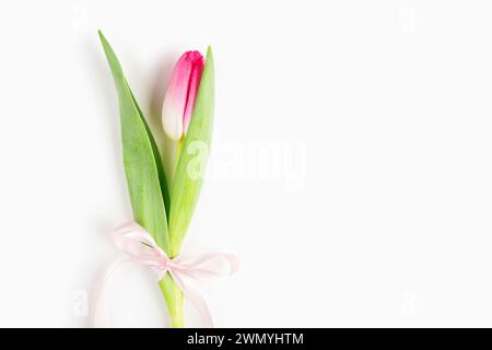Elegant single tulip with a soft pink hue tied with a delicate ribbon, presented against a clean white backdrop. Stock Photo