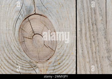 Background and texture of an old wooden board with knot Stock Photo