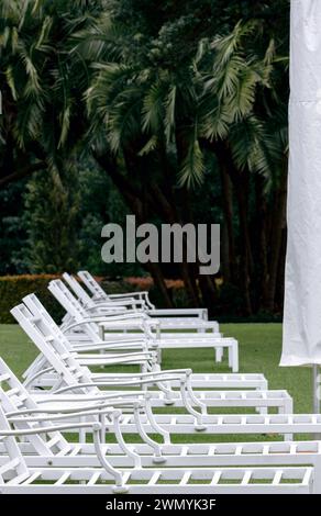 White plastic sun loungers for the pool stand in a row against the backdrop of palm trees. Selective focus, copy space. Hotel lounge area with sunbeds, South Africa.  Stock Photo