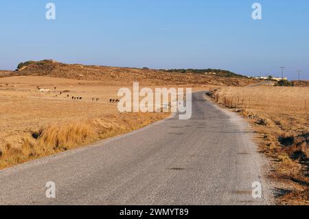 road in the countryside, Antimacheia, Kos Island, Greece Stock Photo