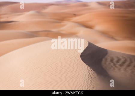 Landscape During The Stage 4 Of The 2024 Abu Dhabi Desert Challenge On   Landscape During The Stage 2 Of The 2024 Abu Dhabi Desert Challenge On February 28 2024 Between Al Dhannah And Mzeerah United Arab Emirates Photo Bastien Rouxdppi Credit Dppi Mediaalamy Live News 2wmytgk 