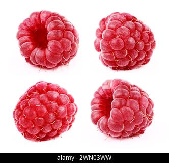 raspberry isolated white background Stock Photo