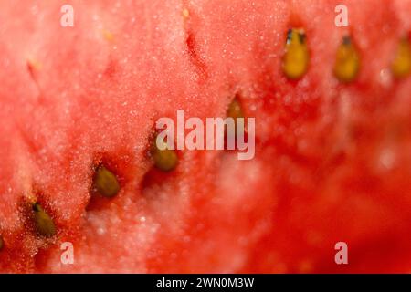 A close-up photo of a ripe, red watermelon slice showcasing its juicy texture and seeds. Stock Photo