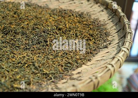 Drying tea leaves in a bamboo tray Stock Photo