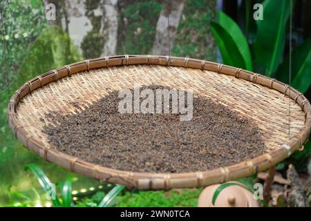 Drying tea leaves in a bamboo tray Stock Photo