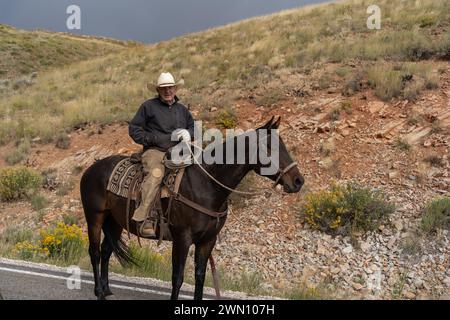 Caribou County Idaho – September 13, 2013: Cowboy riding a horse gives instructions on how to drive car past free range cattle on road. Stock Photo