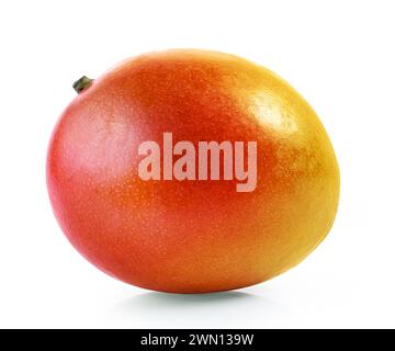 fresh ripe whole mango fruit isolated on white background Stock Photo