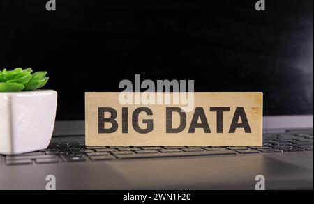 Wooden cubes spelling Big Data. Tech concept. Stock Photo