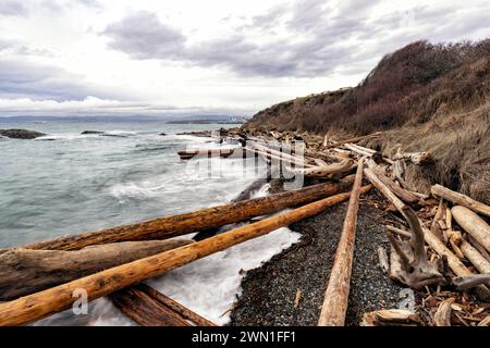 Driftwood washed up on beach off of Dallas Road Waterfront Trail - Victoria, Vancouver Island, British Columbia, Canada Stock Photo