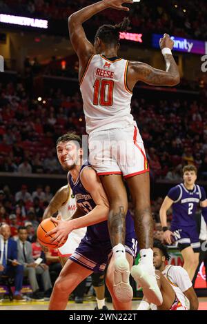 College Park, MD, USA. 28th Feb, 2024. Northwestern Wildcats forward Luke Hunger (33) grabs a rebound against Maryland Terrapins forward Julian Reese (10) during the NCAA basketball game between the Northwestern Wildcats and the Maryland Terrapins at Xfinity Center in College Park, MD. Reggie Hildred/CSM (Credit Image: © Reggie Hildred/Cal Sport Media). Credit: csm/Alamy Live News Stock Photo