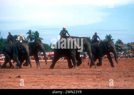 Elephant round-up in Surin province of Thailand 1969 Stock Photo