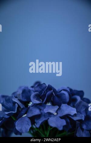 Vibrant artificial blue hydrangea flower against a cobalt blue background. Stock Photo